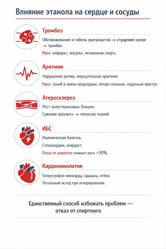 инфографика влияния этанола на сердце и сосуды