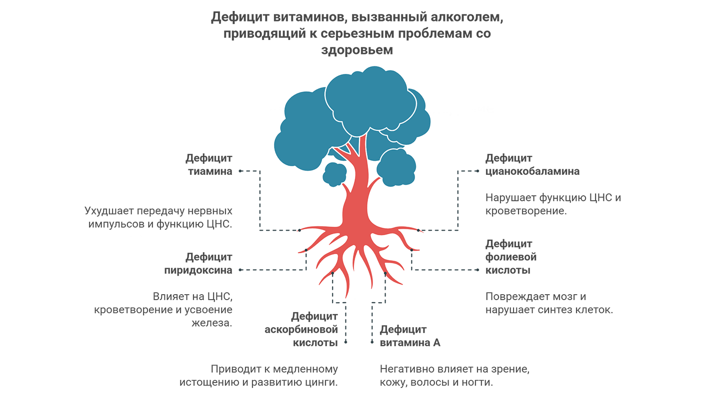 Дефицит витаминов, вызванный алкоголем, приводящий к серьезным проблемам со здоровьем (инфографика)