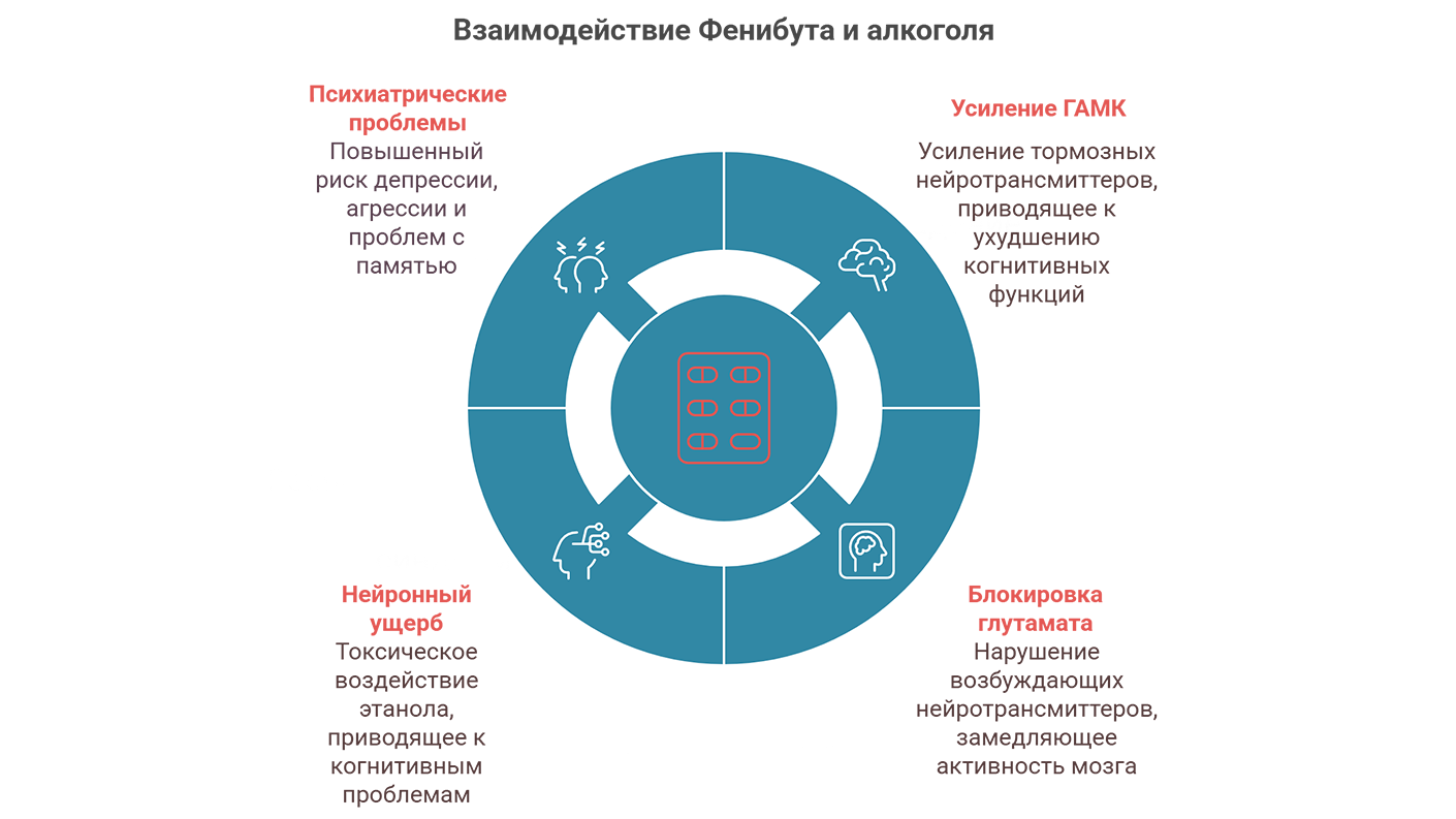 Взаимодействие Фенибута и алкоголя (инфографика)