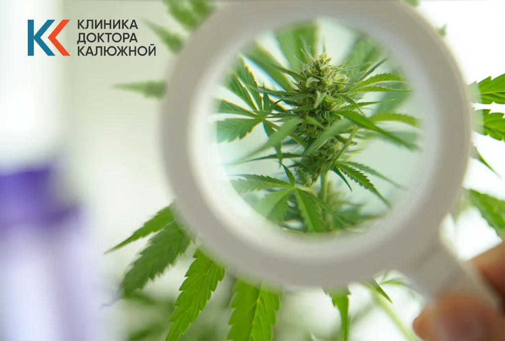 Обложка статьи