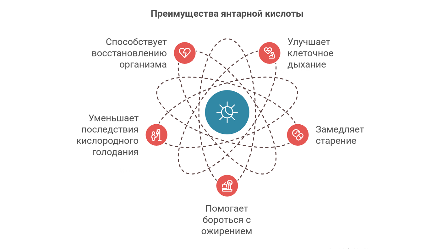 Преимущества янтарной кислоты Преимущества янтарной кислоты (инфографика)